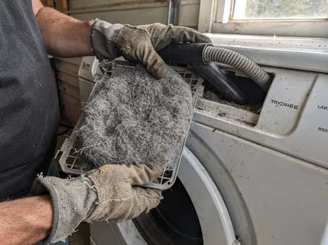 Cleaning Dryer Lint Trap in Rancho Santa Margarita